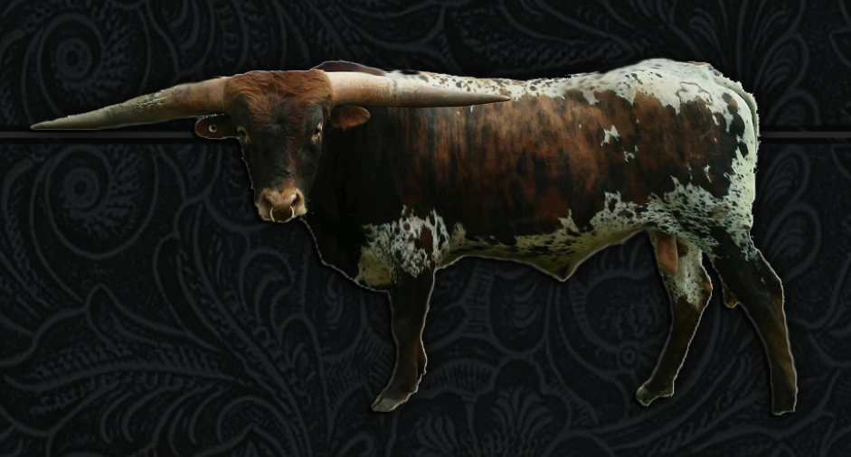 refuge_longhorns002003.jpg